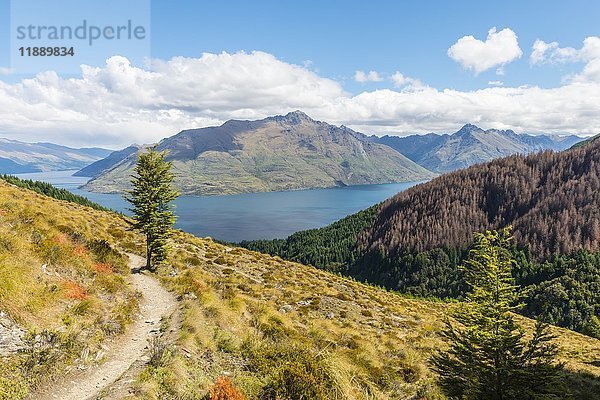 Blick auf den Lake Wakatipu  Wanderweg nach Ben Lomond  Otago  Südinsel  Neuseeland  Ozeanien