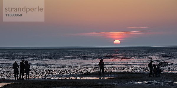 Menschen bei Sonnenuntergang  Wattenmeer  Nationalpark Niedersächsisches Wattenmeer  Cuxhaven  Nordsee  Niedersachsen  Deutschland  Europa