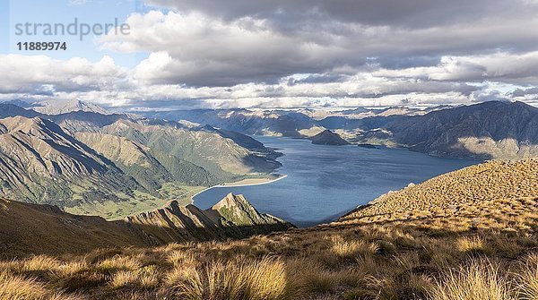 Alpine Landschaft  Hawea-See und Bergpanorama  Isthmus Peak Track  Otago  Südinsel  Neuseeland  Ozeanien