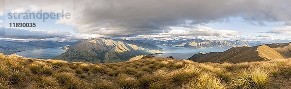 Grasland  Blick auf zwei von Bergen umgebene Seen  Lake Wanaka und Lake Hawea  Blick vom Isthmus Peak  Otago  Südinsel  Neuseeland  Ozeanien