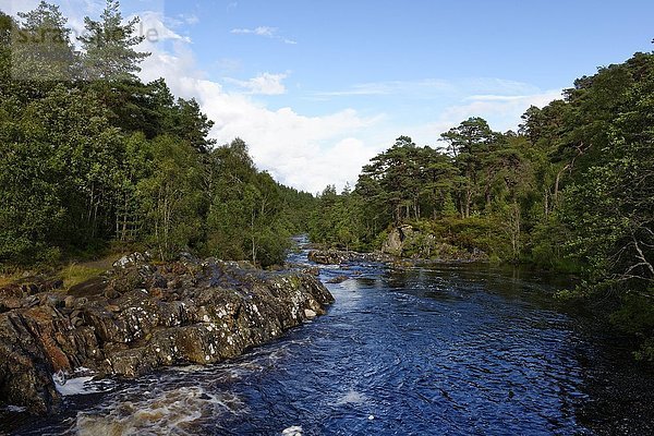 Fluss Affric  Nationales Naturschutzgebiet Glen Affric  Highlands  Nordwestliche Highlands  Schottland  UK