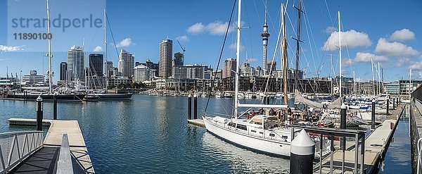 Hafen mit Skyline und Skytower  Auckland  Nordinsel  Neuseeland  Ozeanien