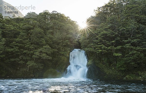 Sonnenschein  Wasserfall im Wald  Iris Burn Falls  Kepler Tack  Fiordland National Park  Southland  Neuseeland  Ozeanien