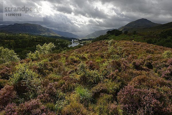 See Loch Affric  Nationales Naturschutzgebiet Glen Affric  Highlands  Nordwestliche Highlands  Schottland  Vereinigtes Königreich  Europa