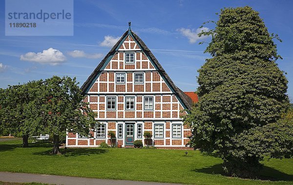 Historisches reetgedecktes Fachwerkhaus  Altländer Bauernhaus  Jork  Altes Land  Niedersachsen  Deutschland  Europa