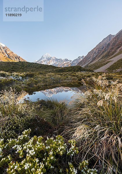 Spiegelung in kleinem See  Mount Cook  Morgenstimmung  Mount Cook National Park  Südliche Alpen  Hooker Valley  Canterbury  Südinsel  Neuseeland  Ozeanien