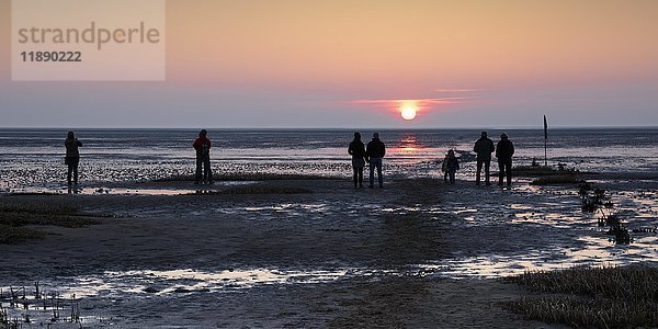 Menschen bei Sonnenuntergang  Wattenmeer  Nationalpark Niedersächsisches Wattenmeer  Cuxhaven  Nordsee  Niedersachsen  Deutschland  Europa