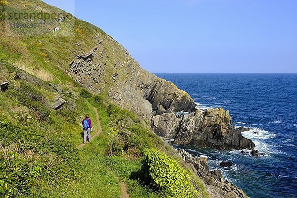 Frau wandert auf dem Coast Path  Küstenpfad bei Polperro  Cornwall  England  Vereinigtes Königreich  Europa