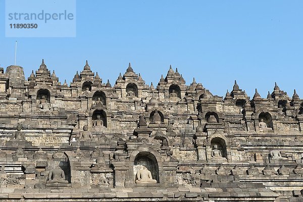 Buddha-Statuen  Tempelanlage Borobudur  Stupas  Borobudur  Yogyakarta  Java  Indonesien  Asien