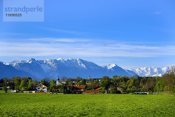 Deutschland  Bayern  Oberbayern  Blick nach Spatzenhausen mit Alpen im Hintergrund