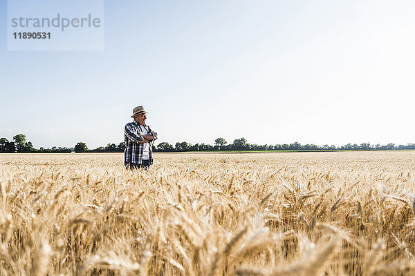 Glücklicher Senior Bauer im Weizenfeld stehend