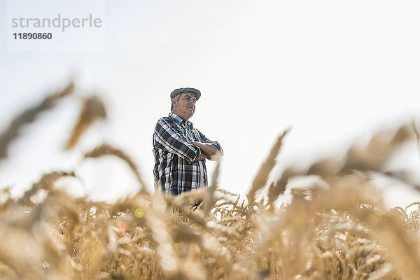 Zufriedener Senior-Bauer im Weizenfeld stehend