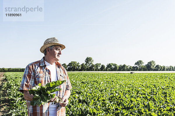 Senior Bauer mit Rübe vor einem Feld stehend