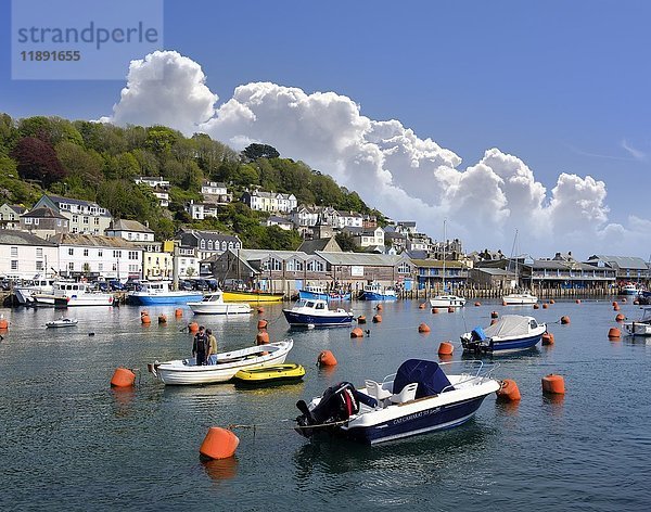 Fischereihafen  East Looe  Looe  Cornwall  England  Vereinigtes Königreich  Europa