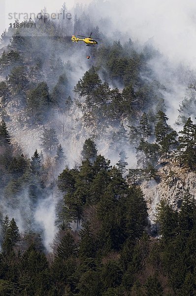 Waldbrandbekämpfung in Kranebitten bei Innsbruck  Tirol  Österreich  Europa
