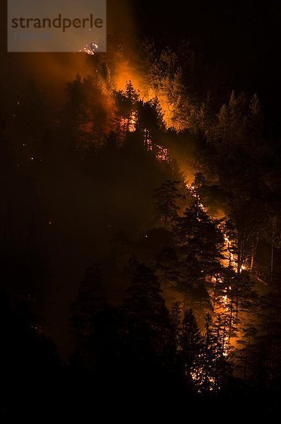 Waldbrand in der Region Karwendel bei Innsbruck  Tirol  Österreich  Europa