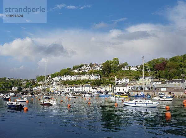 Fischereihafen  East Looe  Looe  Cornwall  England  Vereinigtes Königreich  Europa