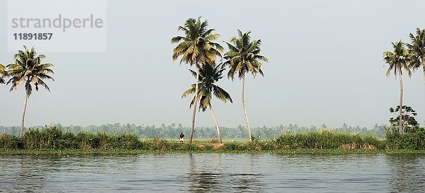 In den Backwaters bei Alappuzha  Malabarküste  Kerala  Indien  Asien