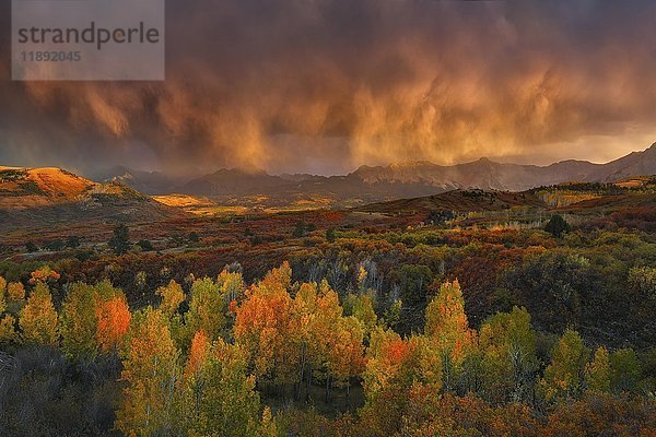 Tiefhängende Wolken  Gewitterwolken leuchten im Abendlicht  Berglandschaft  dramatisches Licht über Herbstwald  Dallas Divide  Colorado  USA  Nordamerika