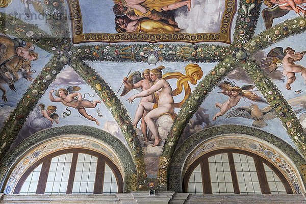Venus und Amor  Fresko von Raffellino del Colle  Villa Farnesina  Rom  Italien  Europa