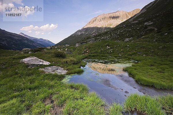 Spiegelung des Haupentales mit Zamser Egg und Kleiner Hochsteller im Naturpark Hochgebirgsgruppe in den Zillertaler Alpen  Österreich  Europa