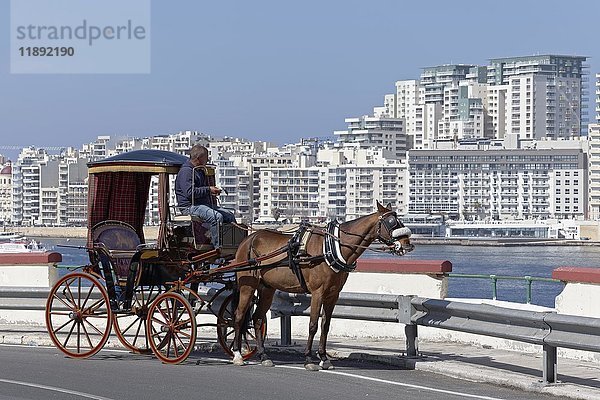 Pferdekutsche vor dem Panorama von Sliema  Valletta  Malta  Europa