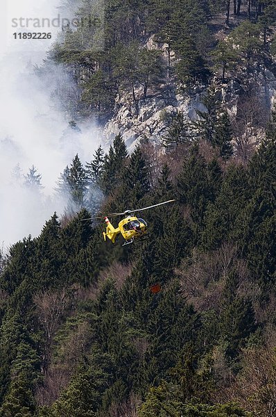 Waldbrandbekämpfung in Kranebitten bei Innsbruck  Tirol  Österreich  Europa