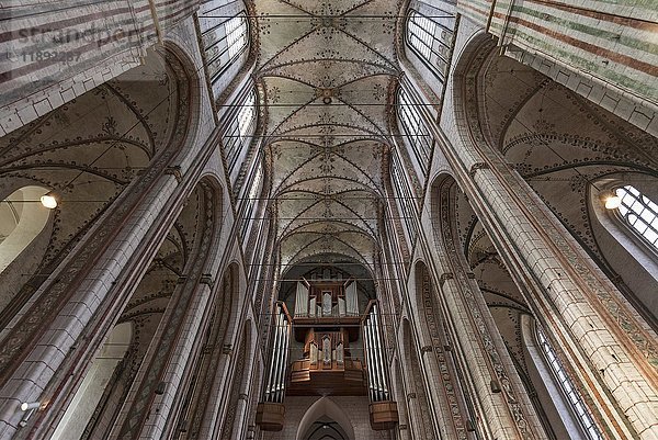 Deckengewölbe mit Orgelempore  St. Marienkirche  Lübeck  Schleswig-Holstein  Deutschland  Europa