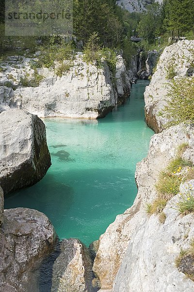 Fluss Soca  Soca  Triglav-Nationalpark  Julische Alpen  Slowenien  Europa