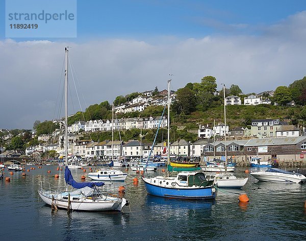 Fischereihafen  East Looe  Looe  Cornwall  England  Vereinigtes Königreich  Europa