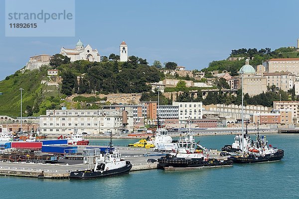 Hafen  Ancona  Region Marken  Italien  Europa