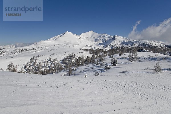 Winterlandschaft am Hochmölbing  Gipfel 2336m  Totes Gebirge  Steiermark  Österreich  Europa