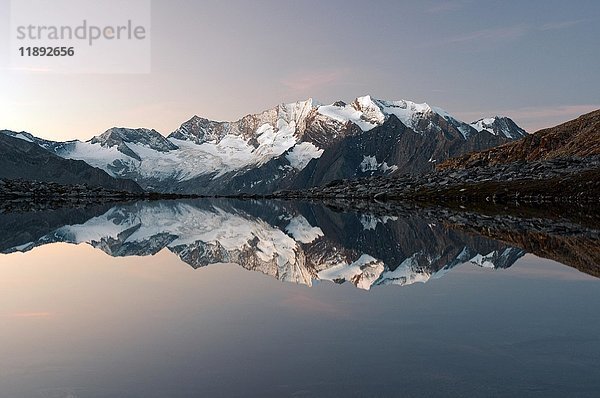 Der Hochfeiler spiegelt sich im Friesenbergrsee im Naturpark Hochgebirge in den Zillertaler Alpen  Österreich  Europa