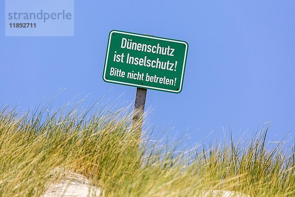 Hinweisschild in einer Düne  Dünenschutz ist Inselschutz  Amrum  Nordfriesische Inseln  Schleswig-Holstein  Deutschland  Europa