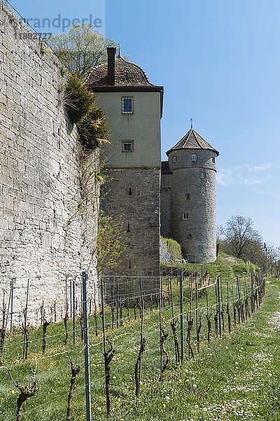 Mauer und Türme  Schloss Stetten  Künzelsau  Baden-Württemberg  Deutschland  Europa