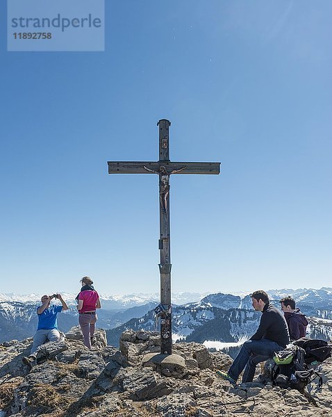 Gipfelkreuz auf dem Gipfel des Brecherspitz  Schliersee  Oberbayern  Bayern  Deutschland  Europa