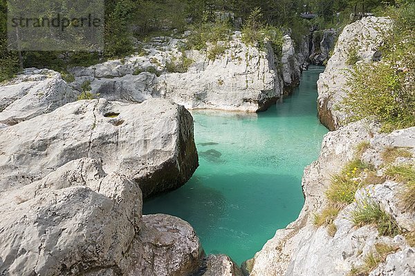 Fluss Soca  Triglav-Nationalpark  Julische Alpen  Slowenien  Europa