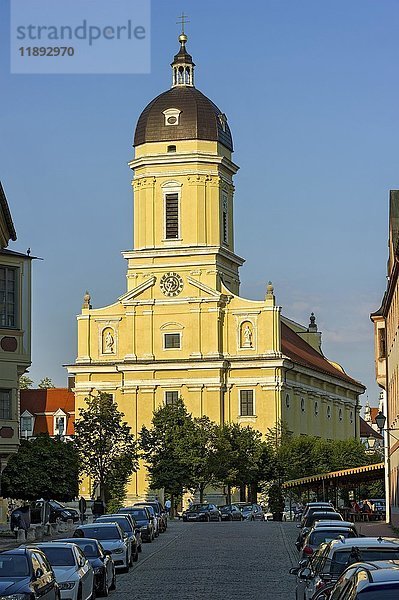 Hofkirche St. Maria  Neuburg an der Donau  Oberbayern  Bayern  Deutschland  Europa