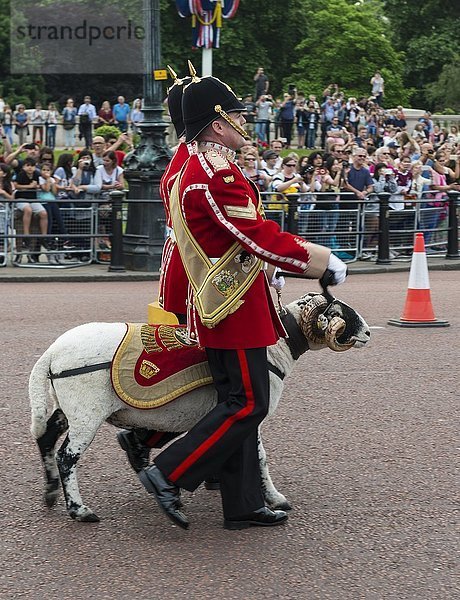Zwei Wächter mit einer Ziege  königliche Wache  Wachablösung  London  England  Vereinigtes Königreich  Europa
