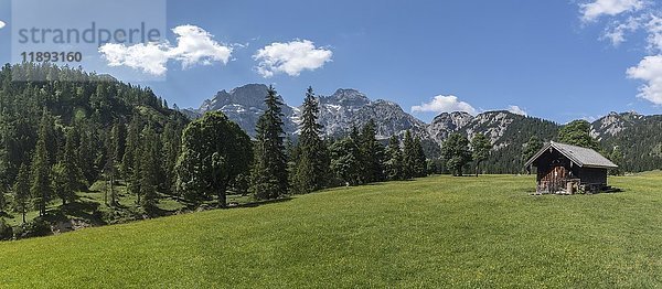 Panorama der Rohnalm  Rohntal  Karwendel  Tirol  Österreich  Europa