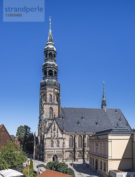 Dom St. Marien  Lutherstadt  Zwickau  Sachsen  Deutschland  Europa
