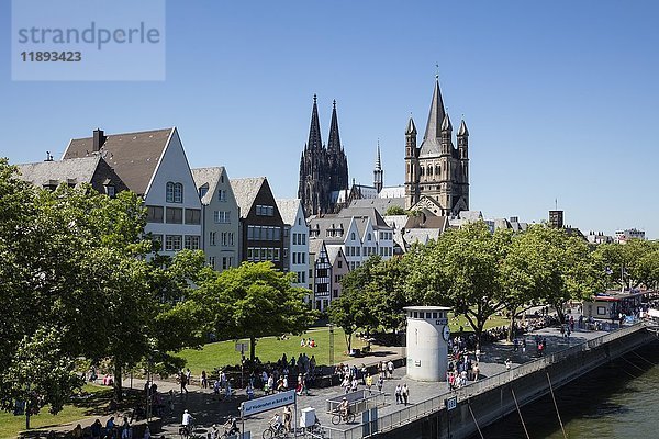 Rhein mit Dom  Kirche St. Martin  historisches Zentrum  Köln  Nordrhein-Westfalen  Deutschland  Europa