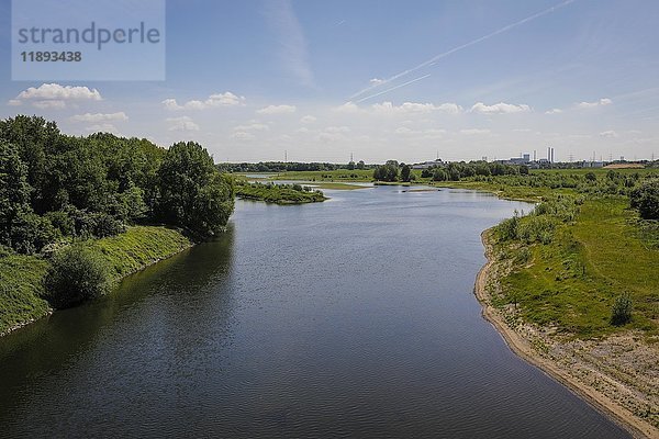 Lippe  rekultiviertes Feuchtgebiet  flussaufwärts der Mündung in den Rhein  Wesel  Niederrhein  Nordrhein-Westfalen  Deutschland  Europa