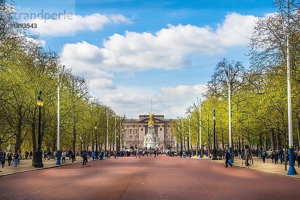 Buckingham Palace und Straße The Mall  Westminster  London  England  Vereinigtes Königreich  Europa