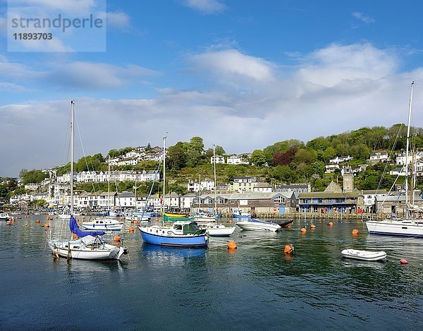 Fischereihafen  East Looe  Looe  Cornwall  England  Vereinigtes Königreich  Europa