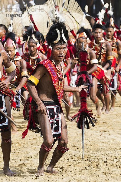 Ritueller Stammestanz auf dem Hornbill Festival  Kohima  Nagaland  Indien  Asien