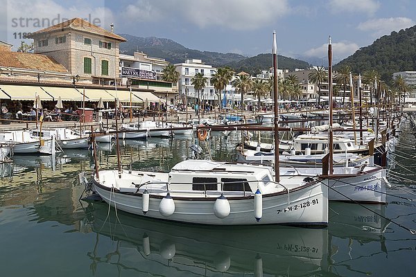 Hafen  Port de Sóller  Mallorca  Spanien  Europa