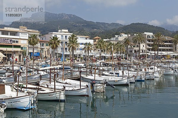 Hafen  Port de Sóller  Mallorca  Spanien  Europa