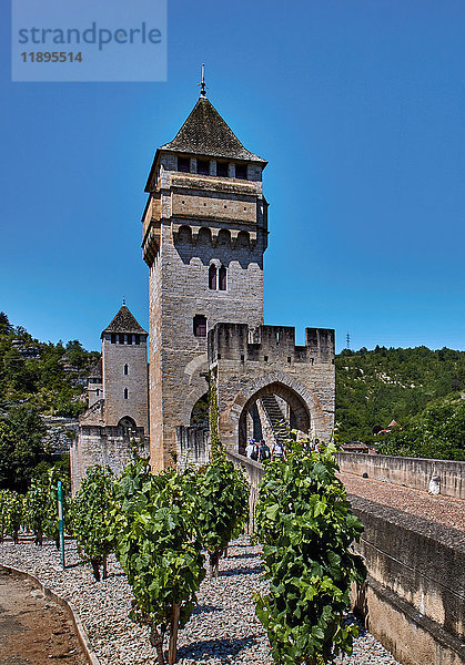 Europa  Frankreich  Okzitanien  Lot  Stadt Cahors  Festungsbrücke Valentré  Weinrebe
