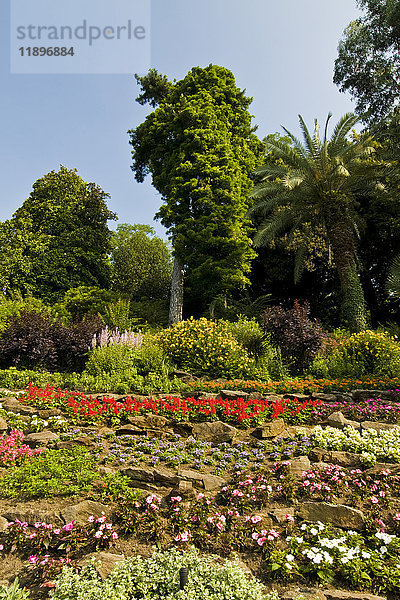 Garten  Villa Carlotta  Tremezzo  Comer See  Italien
